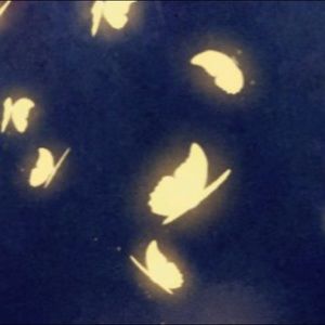 Meet your Posher, Cara